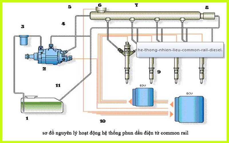 HỆ THÔNG PHUN DẦU ĐIỆN TỬ - CDI (SERVICE) 